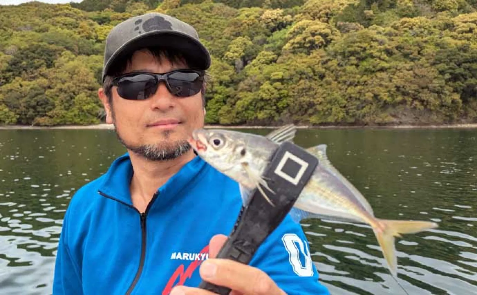 イカダのサビキ釣りでアジ爆釣【三重・迫間浦】アオリイカはヤエン＆エギングで不発