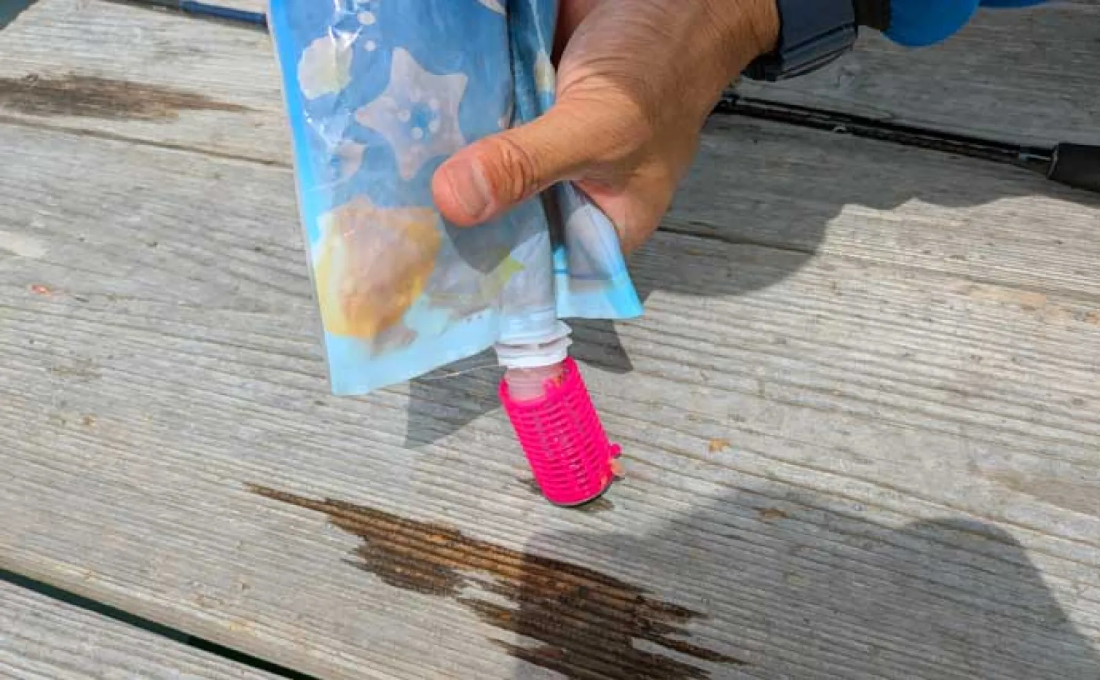 イカダのサビキ釣りでアジ爆釣【三重・迫間浦】アオリイカはヤエン＆エギングで不発