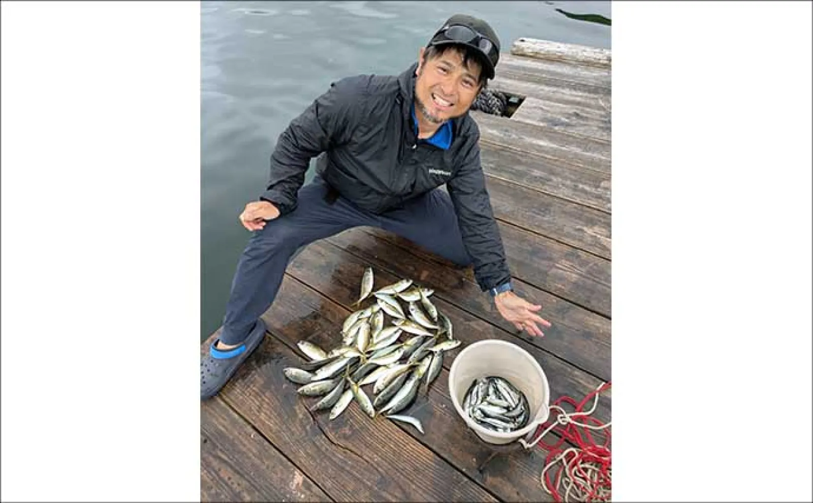 イカダのサビキ釣りでアジ爆釣【三重・迫間浦】アオリイカはヤエン＆エギングで不発