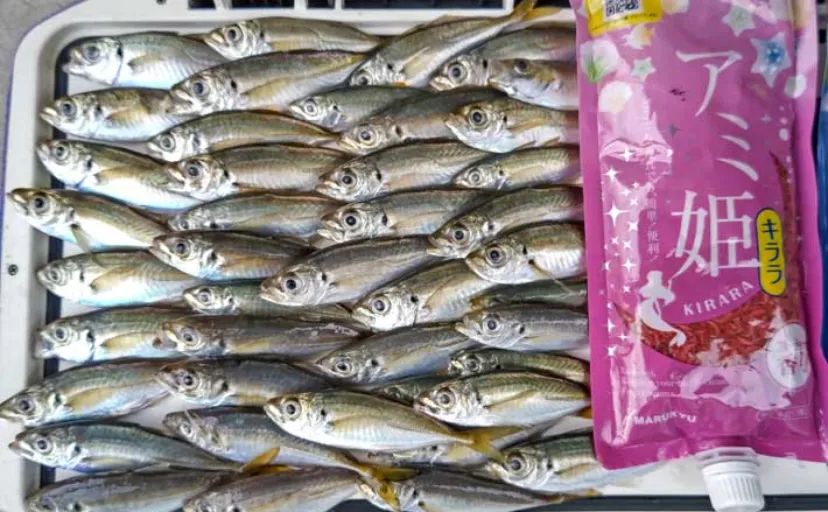 「家族でのんびりサビキ釣り」にピッタリの『内港公園』を紹介【千葉・木更津】