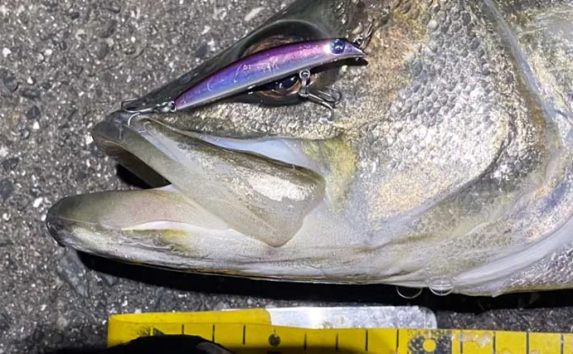 釣りは擬音語だらけ！「グググ」「ドスッ」「ツンツン」魚種で変わる擬音語を紹介