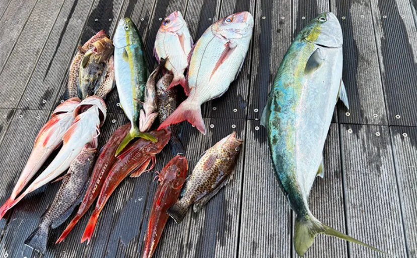 釣り上級者になるための3つの考え方　【徹底的な魚目線】が釣果アップの秘訣