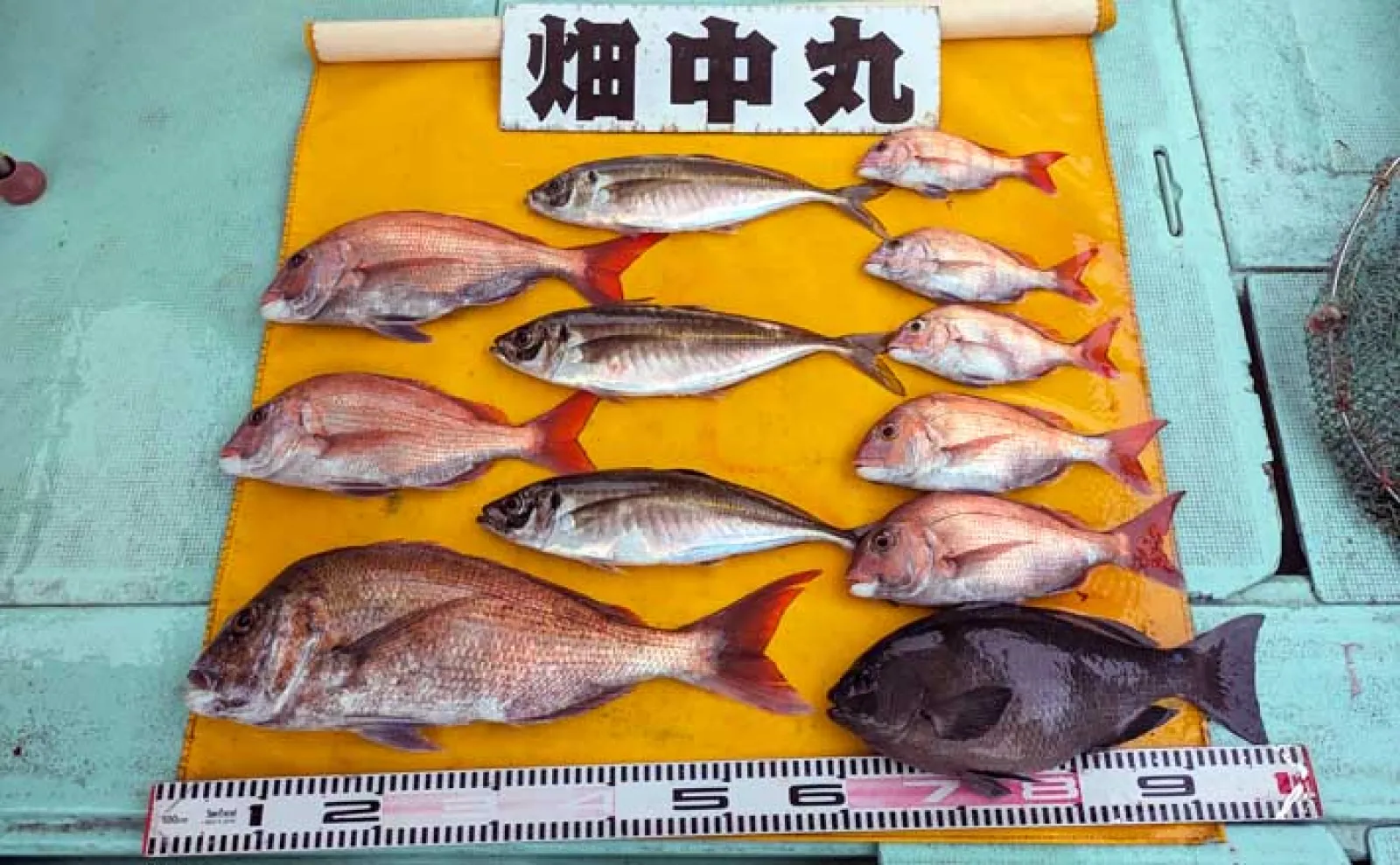 もどかし過ぎて悶絶！」伝統釣法『高仕掛け』でマダイをキャッチ