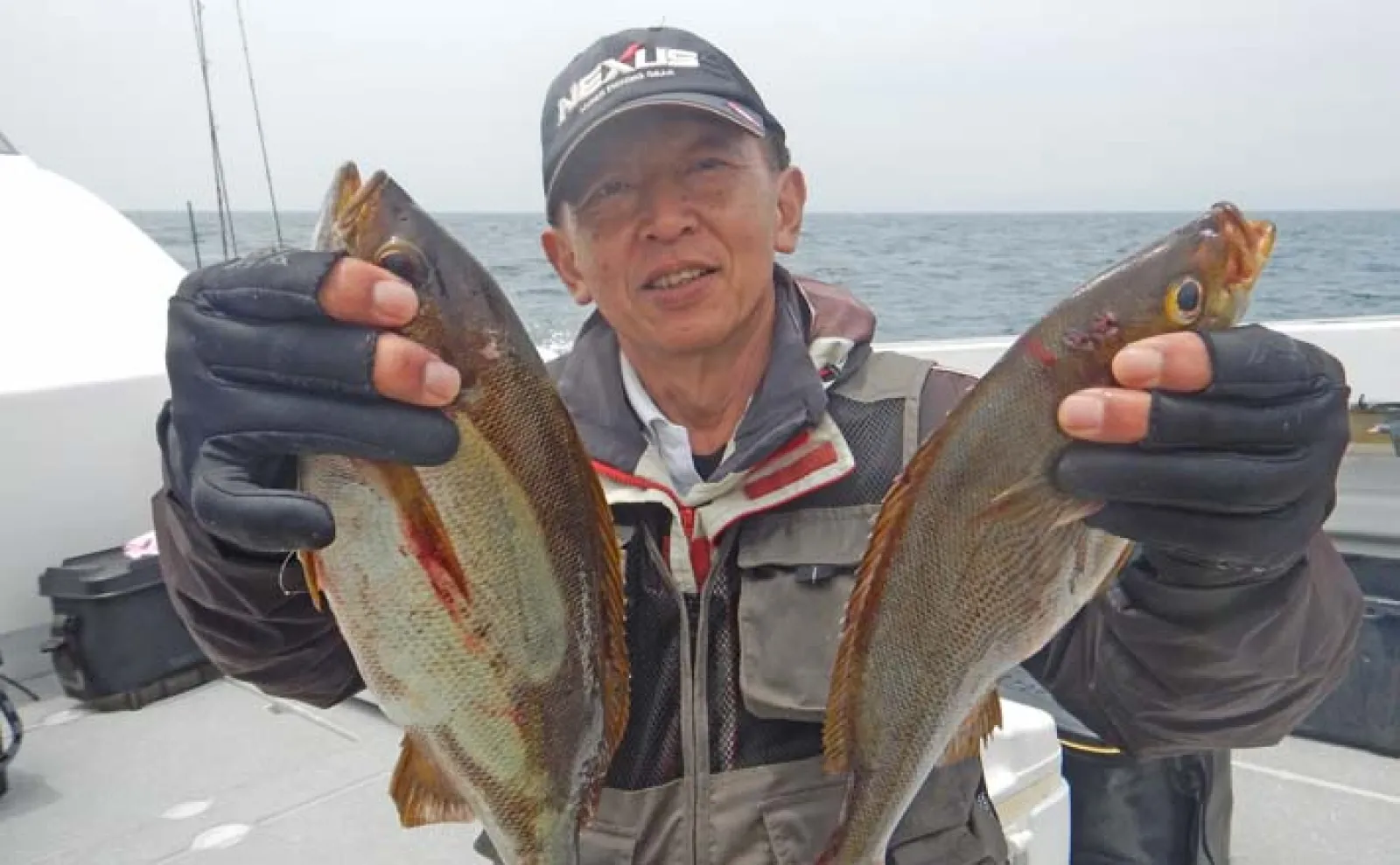 玄界灘のイサキ釣りで40cm筆頭に船中平均40尾の好釣果【福岡】竿頭は53