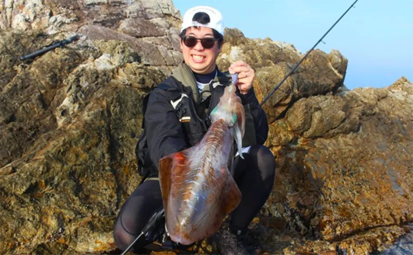 「2.2kg頭に春アオリイカ3杯!」オリムピック新作エギングロッドで攻略【三重・志摩】