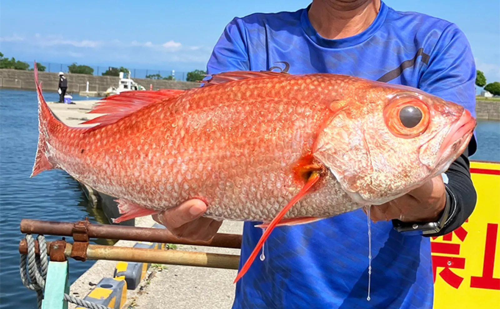 富山湾で「56cm・2.2kg」超大型アカムツ浮上！【強神丸】ゲストに11kg