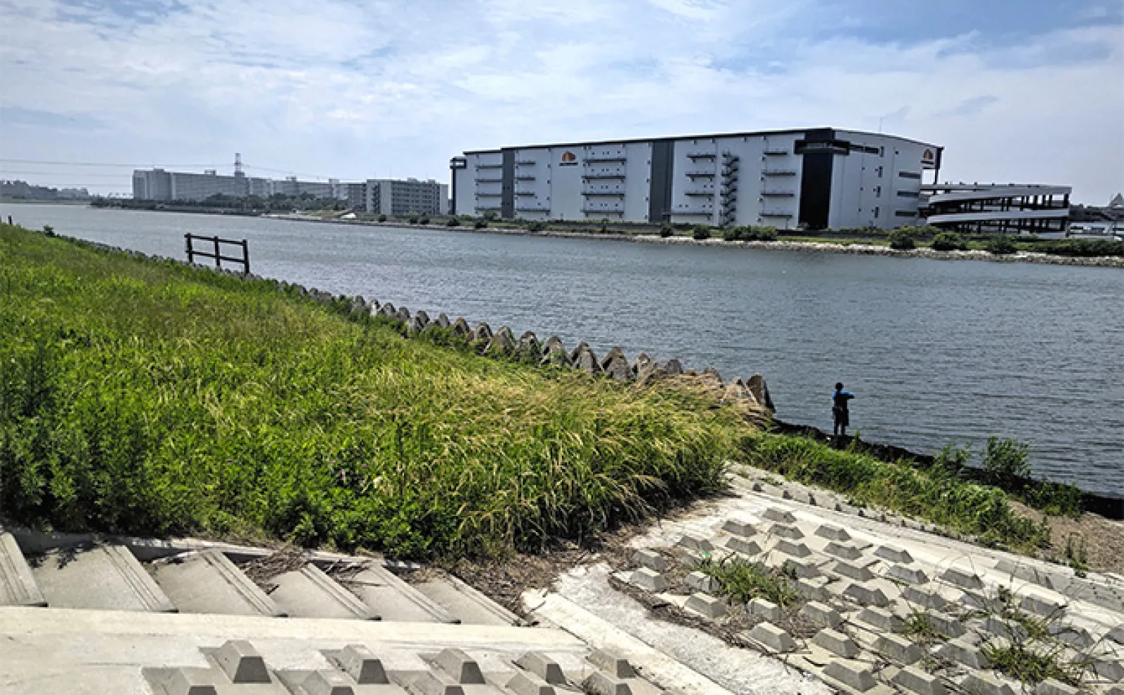 旧江戸川のテナガエビ釣りで52尾手中【千葉・浦安】障害物周りを丹念に探りアタリ連発！