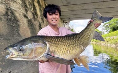野菜の「オクラ」を川に流したら1メーター超えの巨大怪魚が釣れた