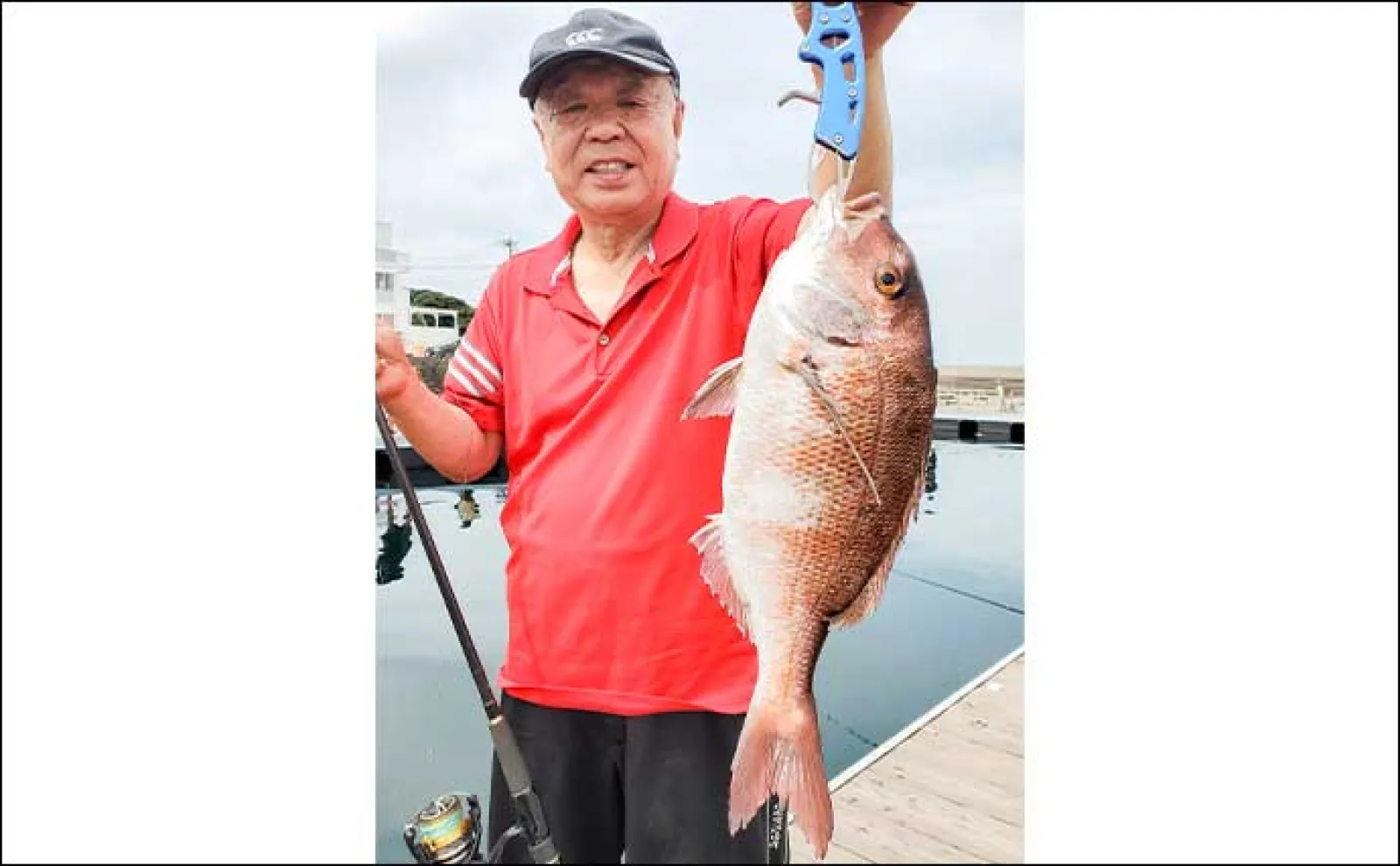 海上釣り堀で50cm級マダイ＆4.8kgヤンバルスギを手中【神奈川】手厚い