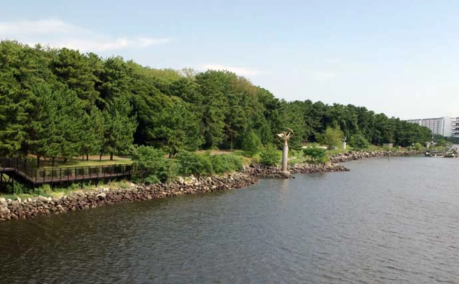 大井 ふ頭 中央 海浜 公園 し おじ 磯