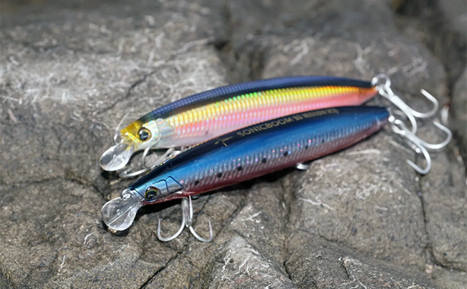 爆飛びルアーで攻略！」トップで大型魚を狙う【ロックショアゲーム最