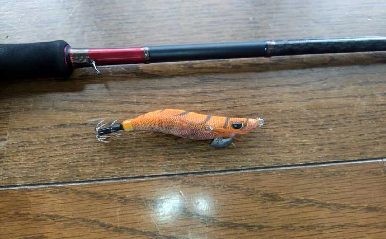 初心者同行のエギング釣行でアテンドに大苦戦【福井】風裏＆明るさの必要性を痛感