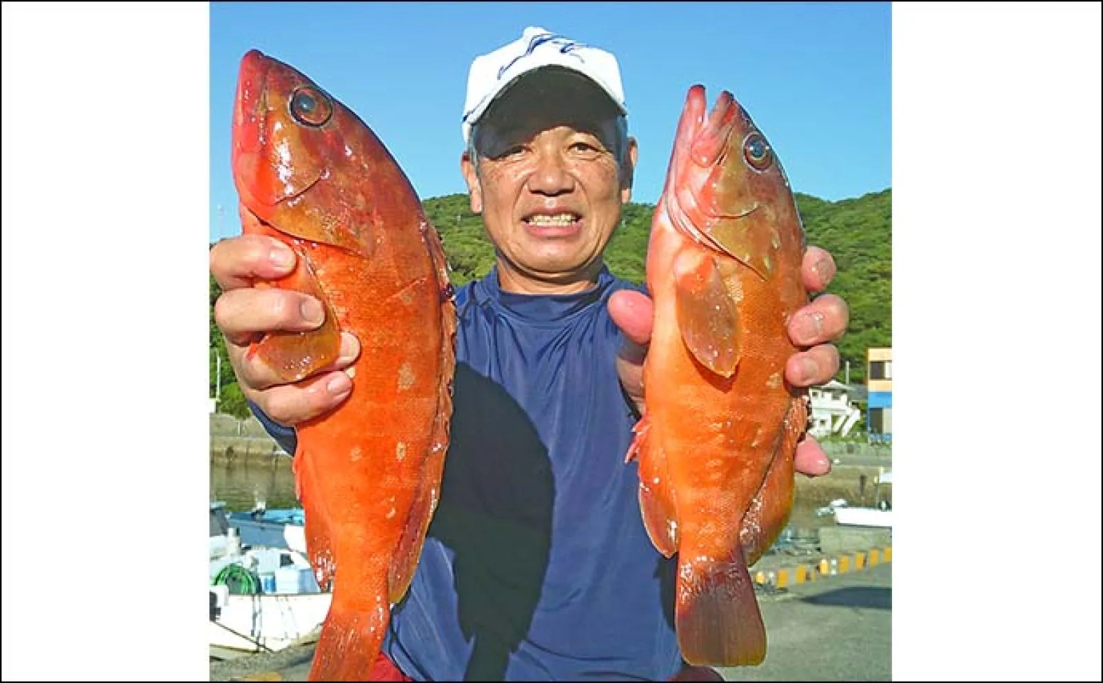 シブダイ狙いの夜釣りでアカハタ40cm頭に連続ヒット【鹿児島・野間池