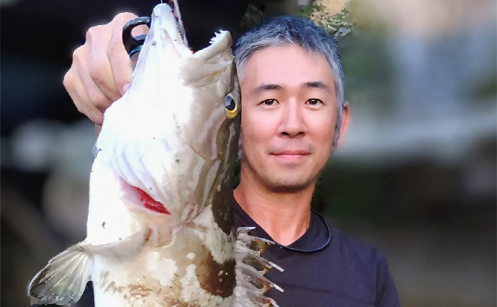 漁港で高級魚クエが釣れる?」 エサ・ルアー釣りどちらでもクエ 漁港で高級魚クエが釣れる?」 エサ・ルアー釣りどちらでもクエ