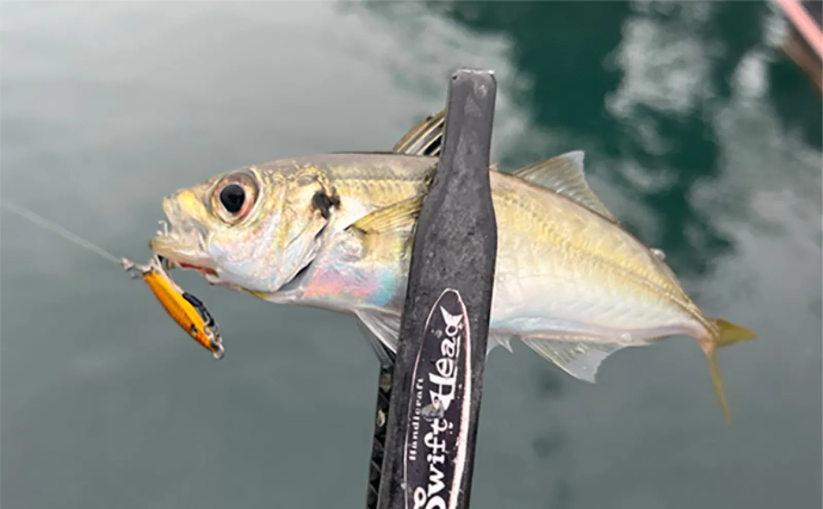 魚が見えるから昼でも釣れる！」偏光サングラス『Gillsee』で難しい