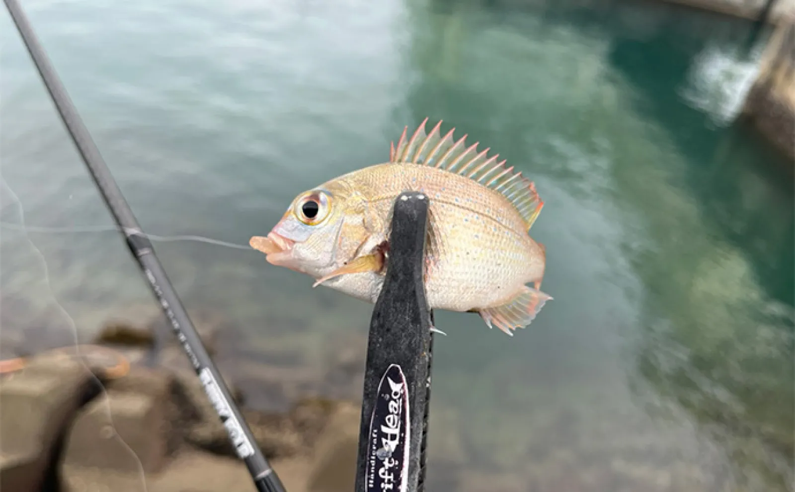魚が見えるから昼でも釣れる！」偏光サングラス『Gillsee』で難しい