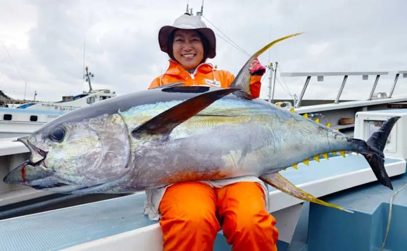 相模湾キハダマグロ釣り絶好調で入門チャンス！」コマセ釣りで30kg級が 