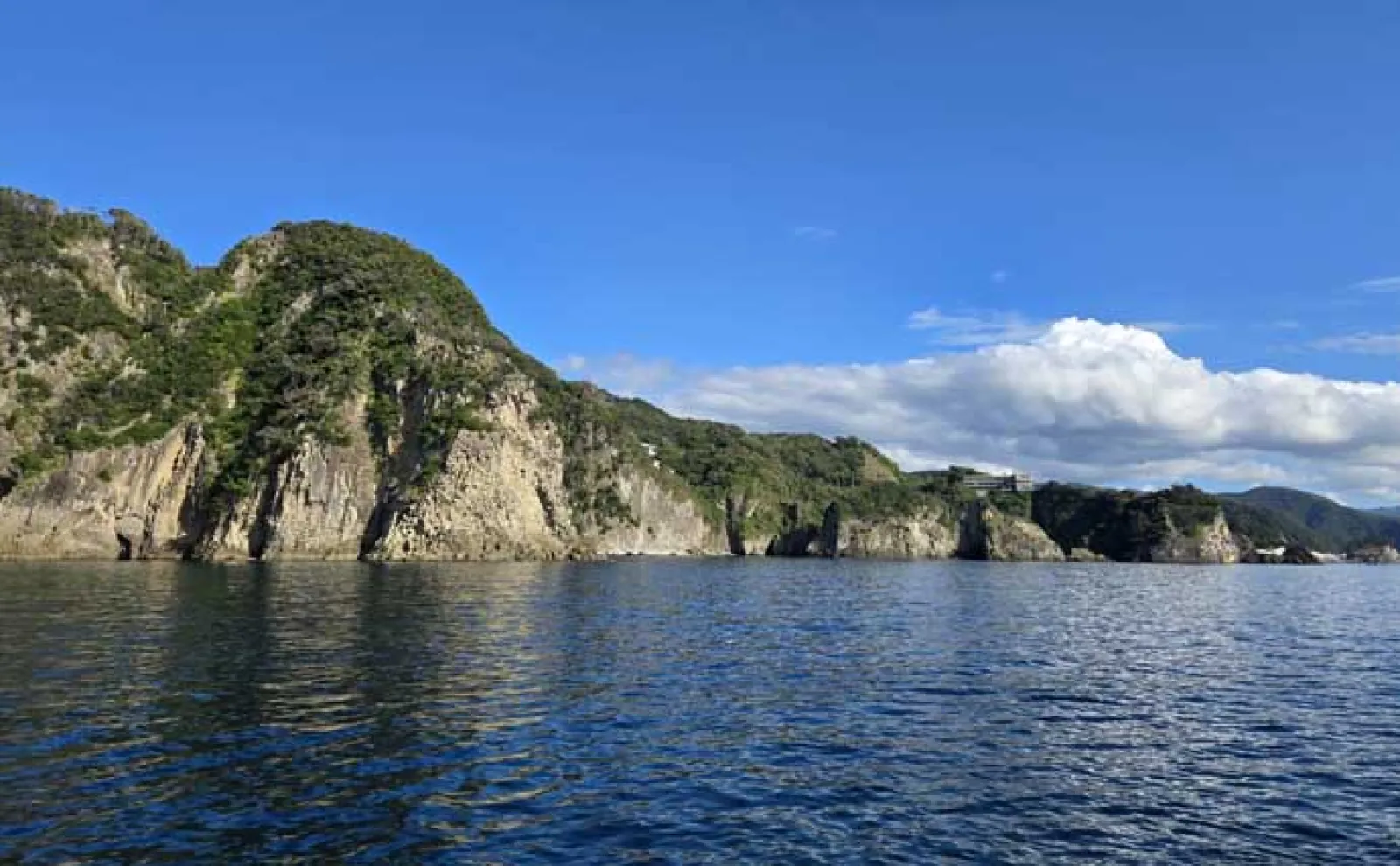 海の中はまだ夏？」沖磯フカセ釣りでシイラにソーダカツオなど7魚種