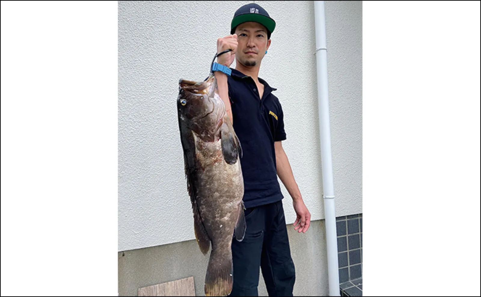 夜釣りで5.3kgアラ（クエ）をキャッチ！【山口】水深2〜3mの浅場