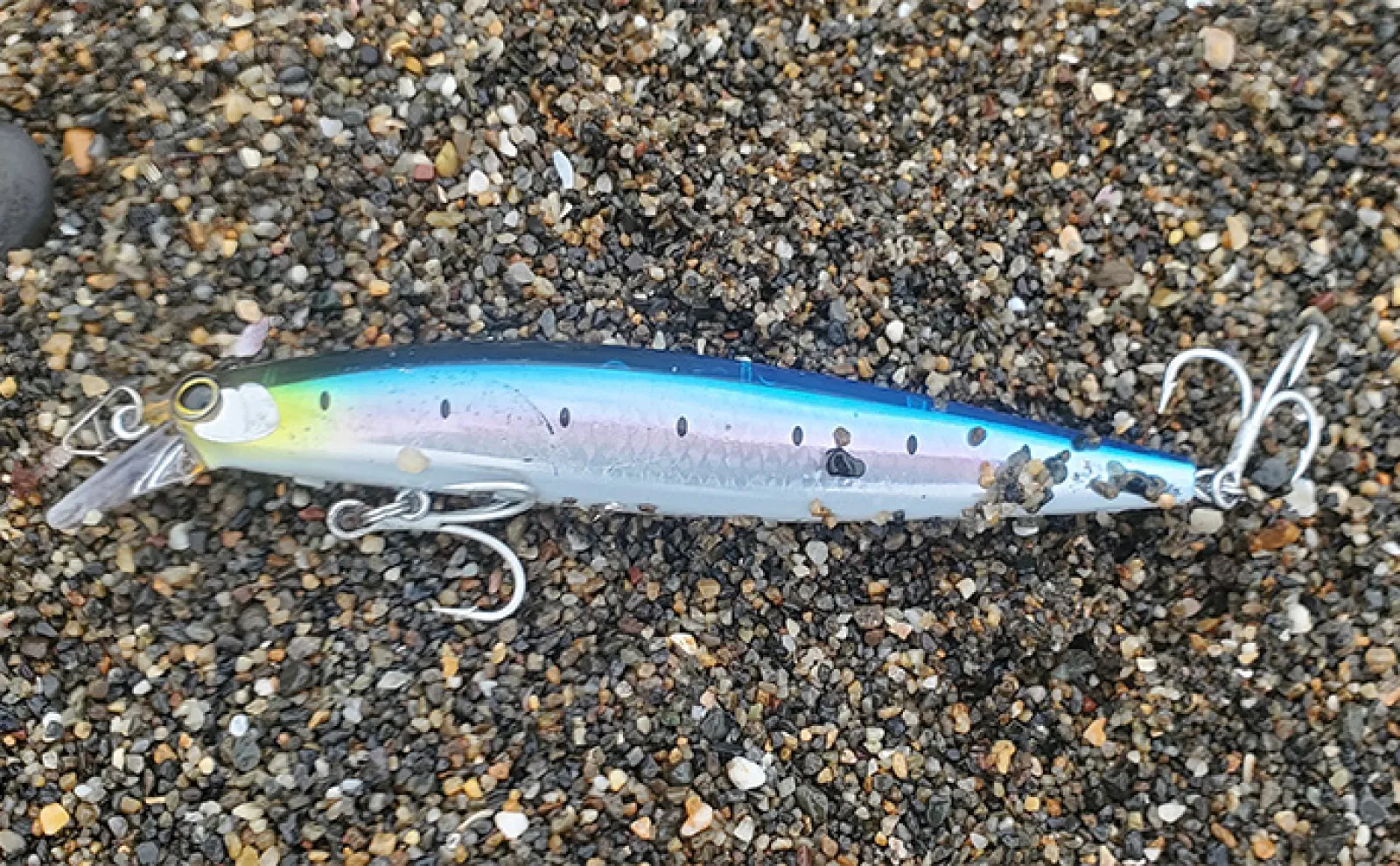 初ヒットまで1年、初キャッチまで10年！」 ルアーシーバス釣りは難しい