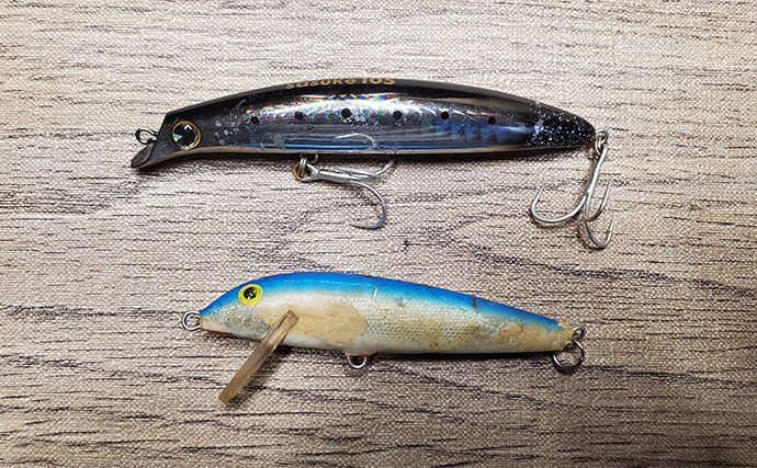 初ヒットまで1年、初キャッチまで10年！」 ルアーシーバス釣りは難しい