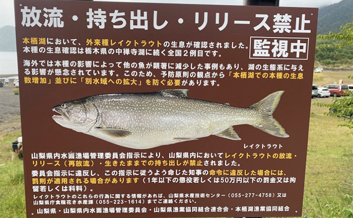外来魚を釣って食べて減らす？」 注目の【本栖湖レイクトラウト釣り