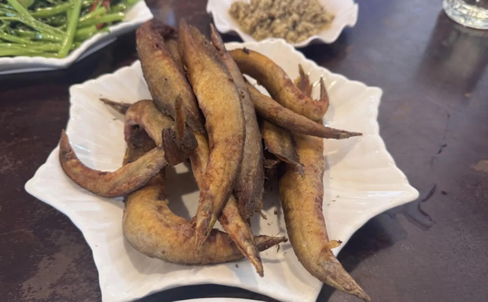 カンボジアの市場で出会った謎の淡水魚『トゲウナギ』を食べてみた