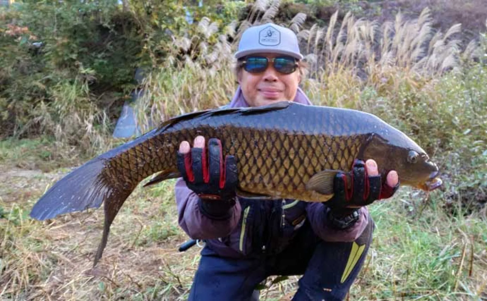 ボイリーエサで80cmコイを釣りあげる【長良川】ノベザオで豪快な