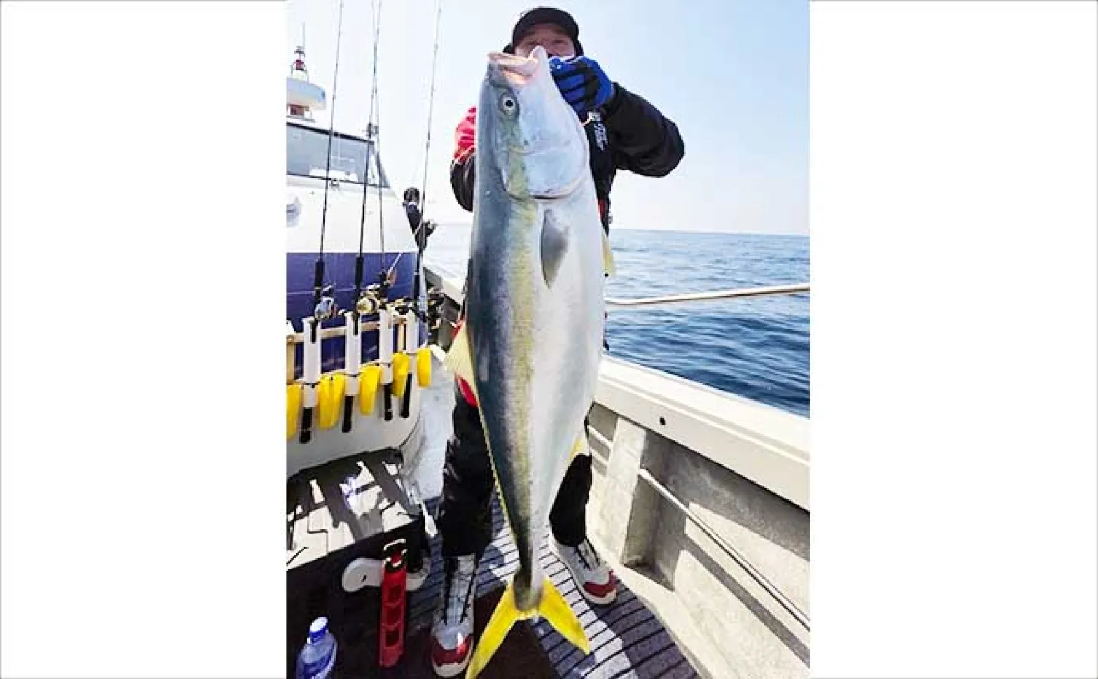 沖のルアー釣果速報】特大ヒラマサ11.8kg浮上！響灘ジギングで青物乱舞