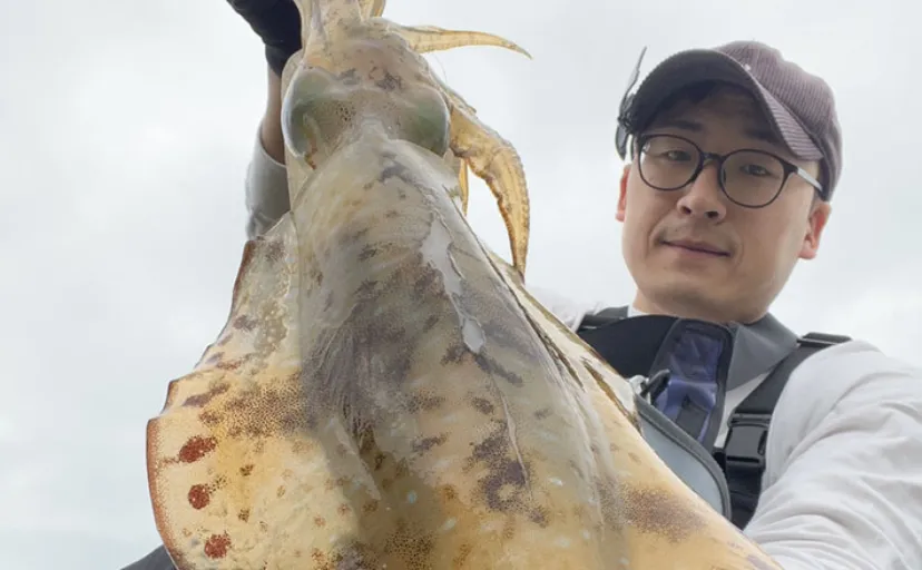 「春イカが猛チェイス！」地磯エギングでキロ超えアオリイカが足元でヒット【福岡】
