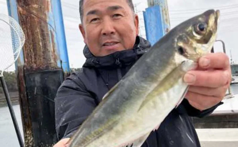 有名ブランドの「関アジ・関サバ」が順調ヒット！【船釣り速報５選・大分／熊本】