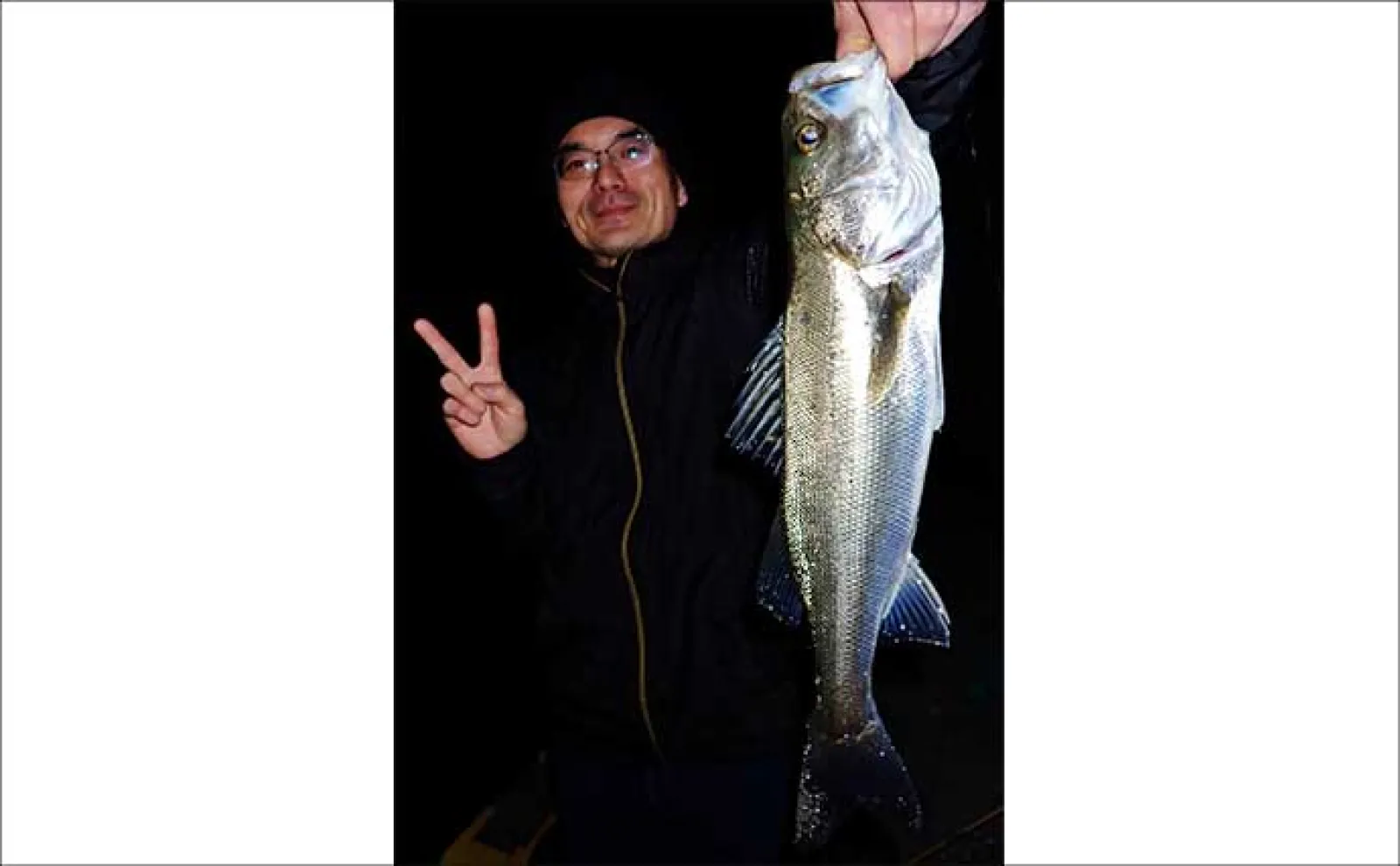 夜の堤防ルアー釣りで51cm良型シーバス好捕【四日市港・三重】カサゴは