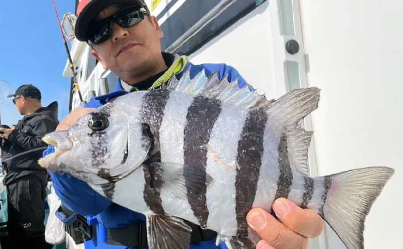 大分沖でイシダイに関アジ関サバが好調顔出し！【船釣り最新情報4選・大分／熊本】