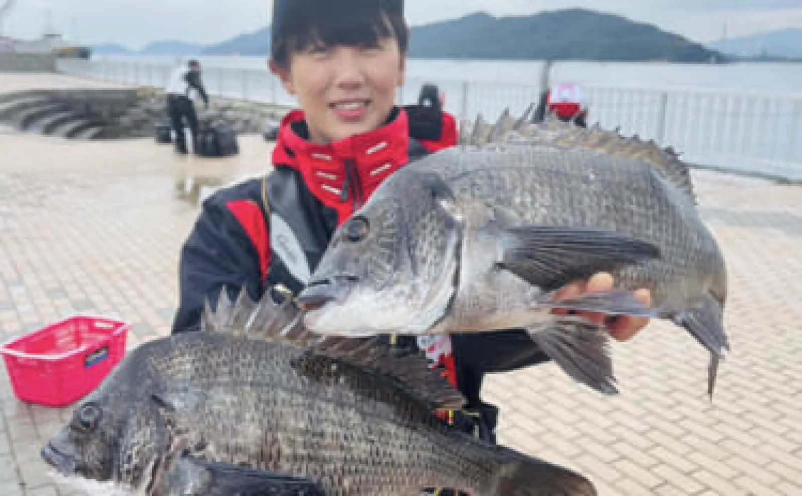 チヌ、マダイ釣りの本　7冊おまとめ 磯チヌ釣り大会でマダイ2連発！【山口】本命チヌは規定数5匹キャッチに