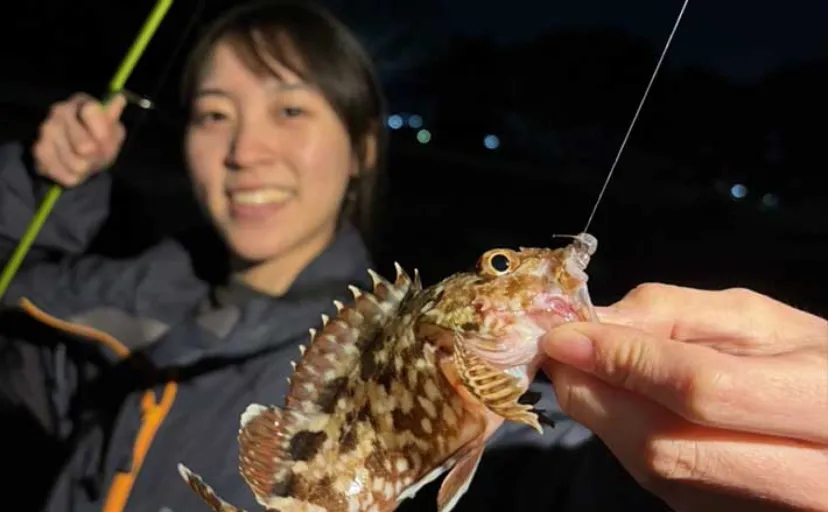 春の海釣り公園でカサゴが爆釣！【横須賀】キワは小型中心も沖目で良型