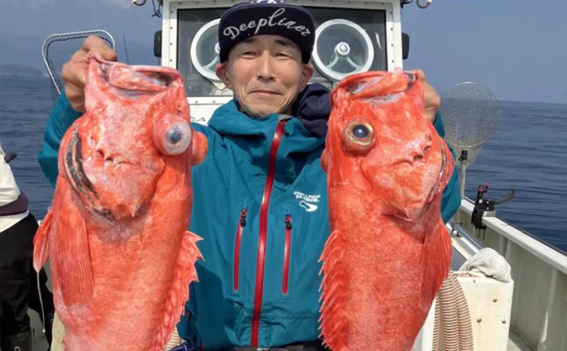 「水深1000m超え！」超深海ジギングで高級魚『ベニアコウ』2匹をキャッチ【神奈川】