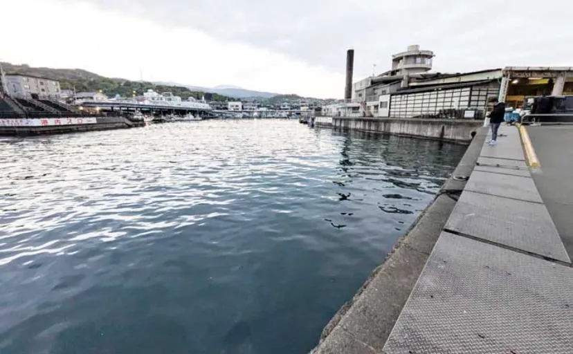 関東エリアのおすすめサビキ釣り場:小田原漁港(早川港) 都心からアクセス良好で周辺観光も可能