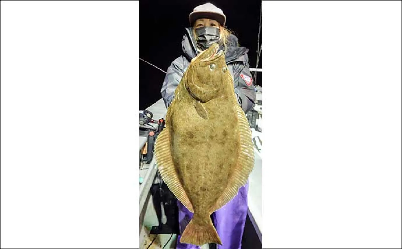 新潟のヒラメ釣り釣果レポート：活きイワシエサに7.2kg大ヒラメが喰っ