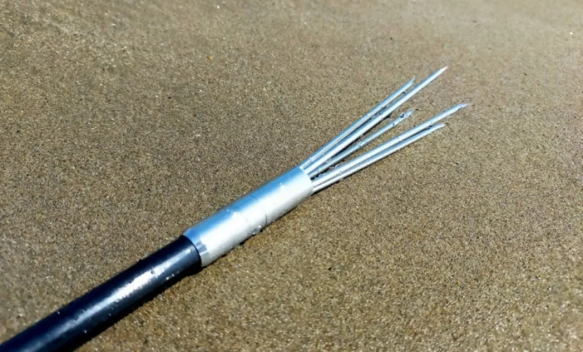 「スピアフィッシング」の人気が上昇中！　楽しいけど注意すべき点とは？