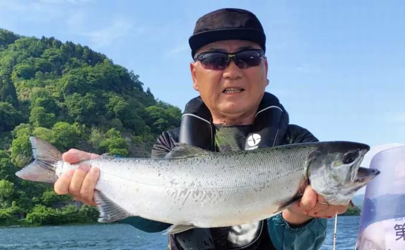 61cm極太ビワマスをキャッチ！琵琶湖でのレイクトローリングで良型が乱舞