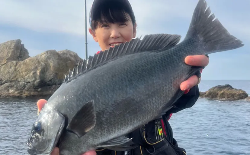 深島の磯で40cm超え良型クロが連発！ 潮変わりにはオオモンハタも登場【大分】