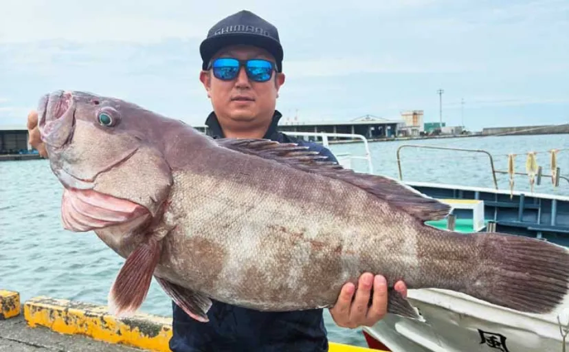 金洲のスルメイカ泳がせ釣りで8kg大型マハタ堂々浮上!【船釣り最新情報10選・東海】