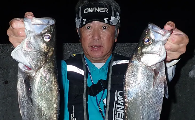 三角港の電気ウキ釣りでヒラスズキにマルスズキが好反応【熊本】今年は魚影が濃い！
