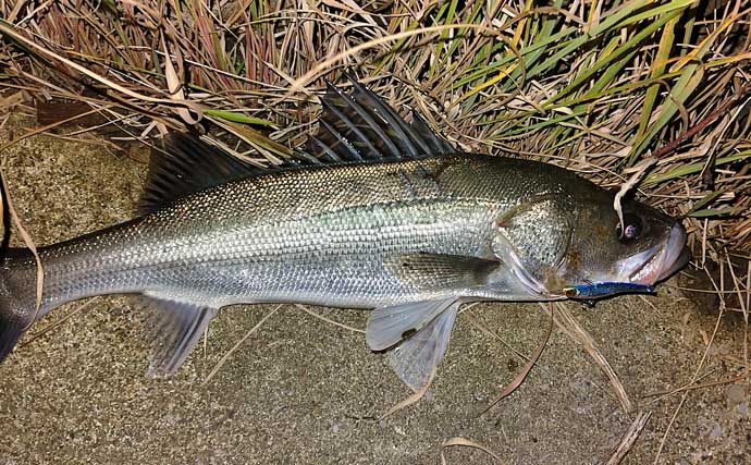 都市河川での釣りを愛するアングラーが考察 年々酷くなる河川の汚れに