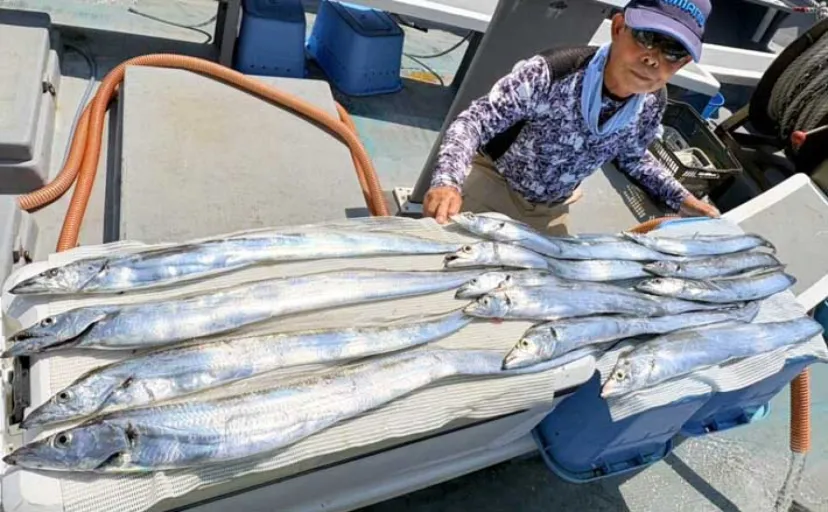 テンヤタチウオ釣りで指5本級を含み13匹【忠栄丸・愛知】朝イチに時合い到来！
