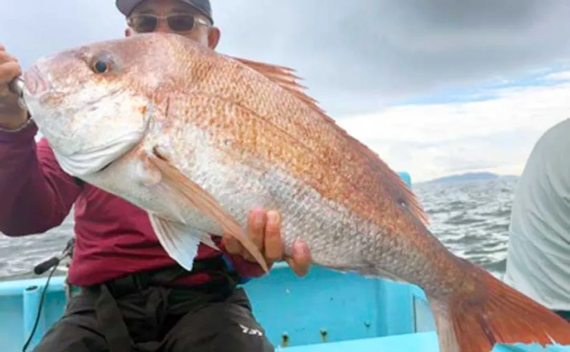 ウタセマダイ釣りで78cm頭に本命22匹!【エサ釣り船釣果速報10選・愛知】