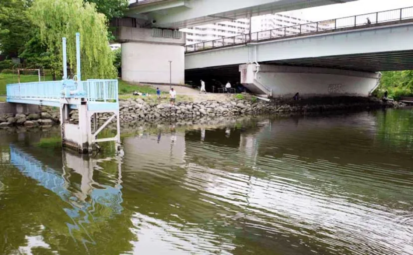 東京23区の「おすすめハゼ釣り場」:新左近川親水公園 4つの詳細ポイントを解説