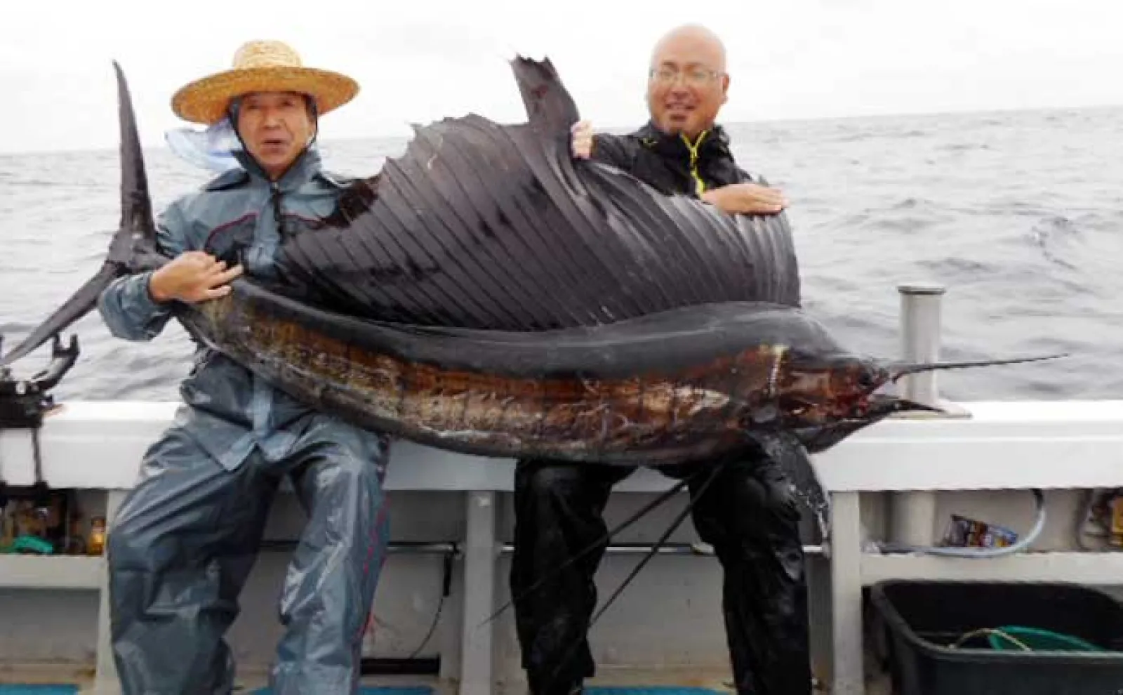 エサ付き好調で大型のヒラマサも浮上！【落とし込み最新釣果情報11選