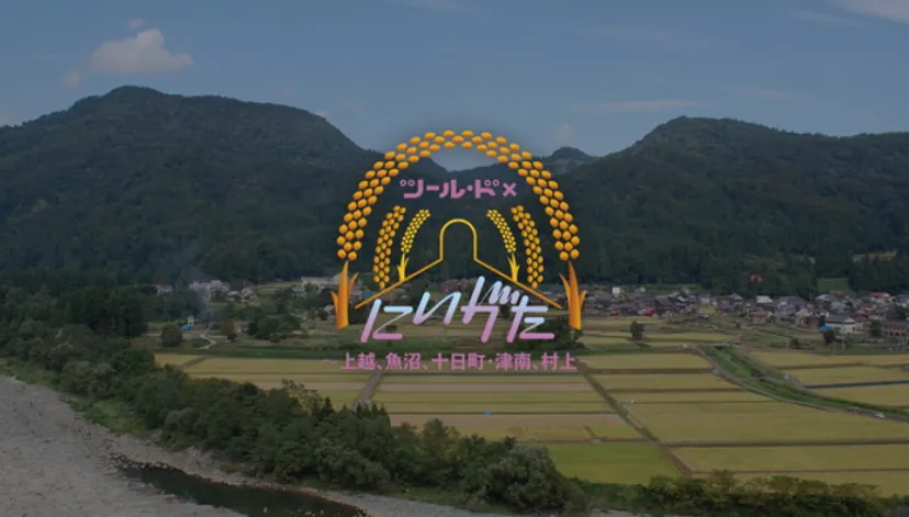 「ツール・ド×にいがた ~上越、魚沼、十日町・津南、村上~」8月26日より開催