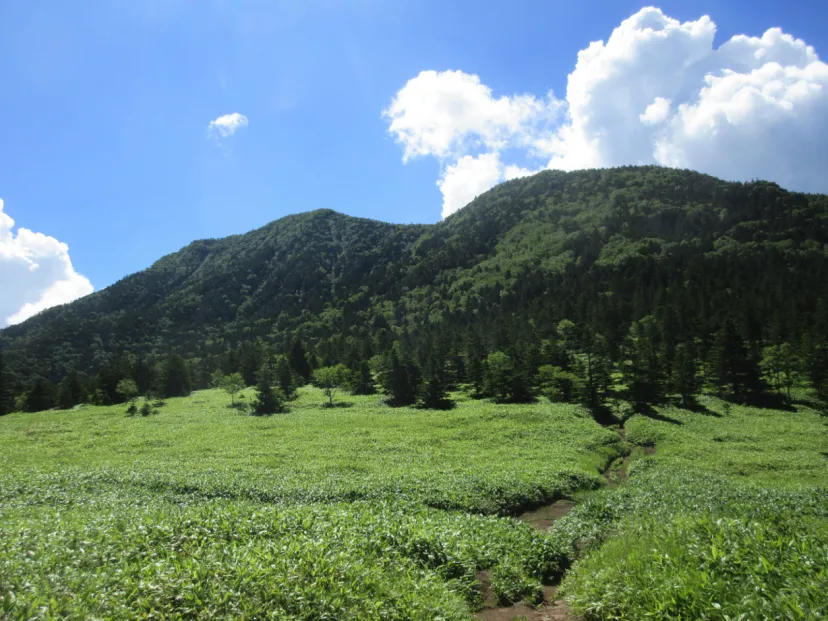 根子岳・四阿山、菅平高原から周回ルート｜山本晃市の温泉をめぐる日帰り山行記 Vol.3